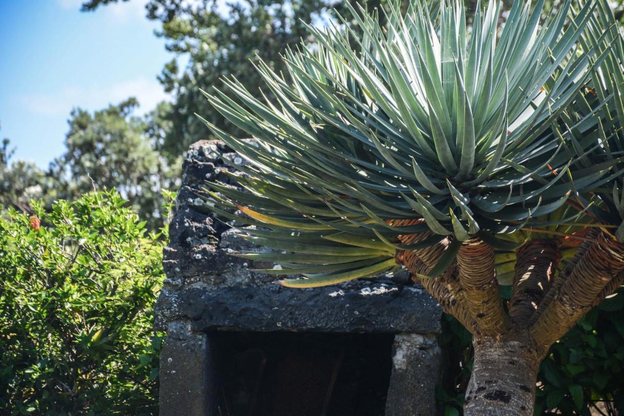 Quinta Dos Frutos Dom wakacyjny
