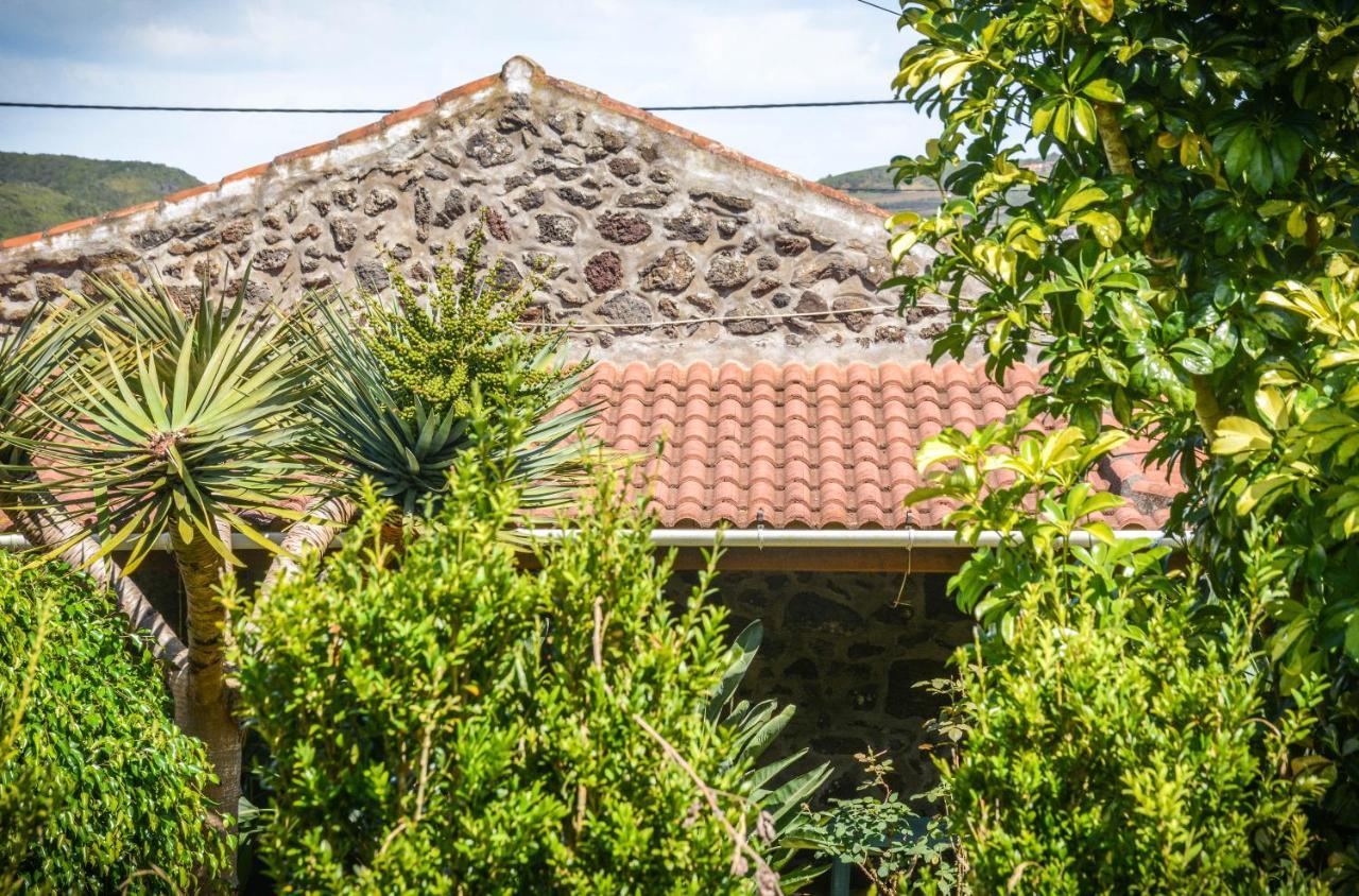 Quinta Dos Frutos Dom wakacyjny